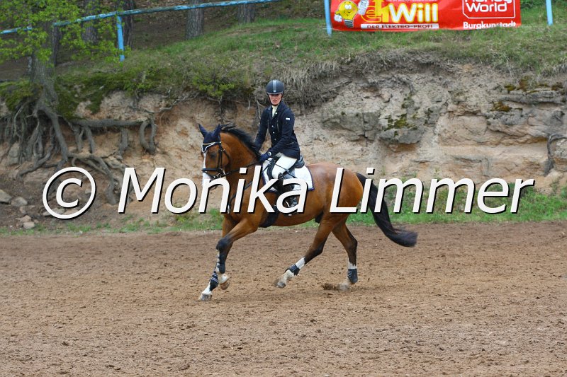 005L4209_Laico_Stil L.JPG